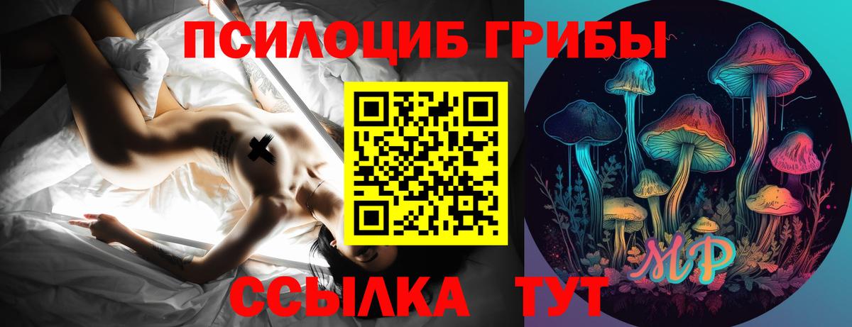 Псилоцибиновые грибы мицелий Новочеркасск